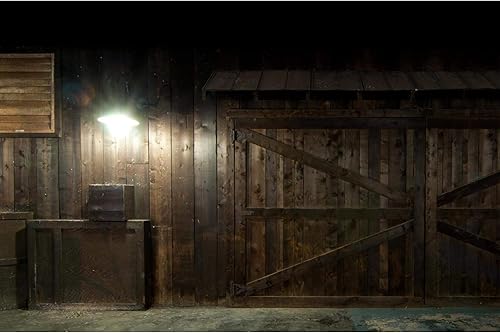 Miniatura 4 de Westinghouse 5170000 - Bombillas LED Omni A21 de 25 vatios (equivalente a 150 vatios), base media, color blanco suave