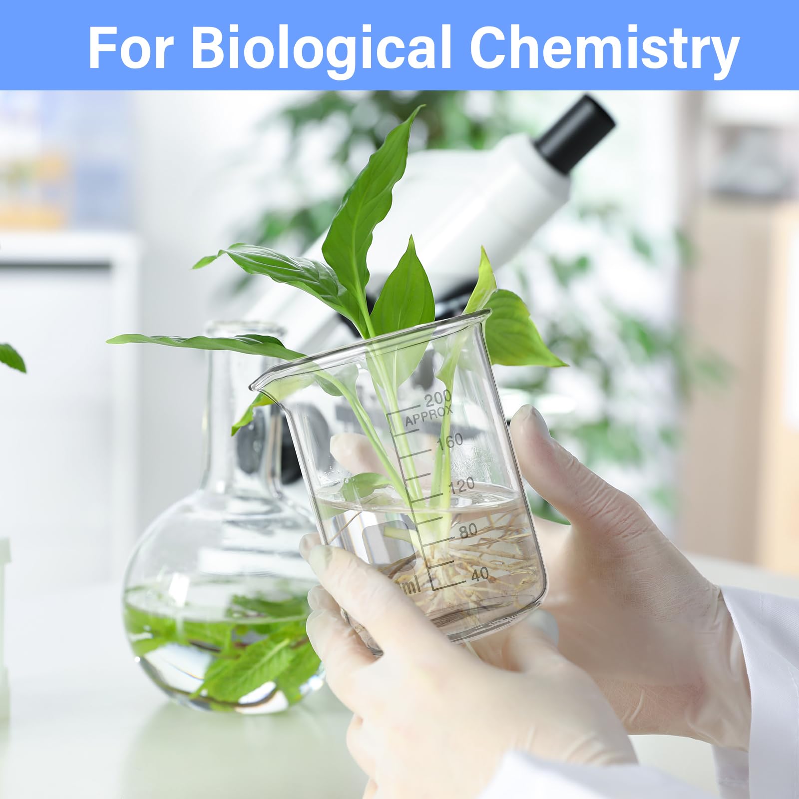 Relaxweex 12 vasos de vidrio de 200 ml de vidrio de borosilicato 3.3 con boquilla, cristalería de forma baja para laboratorios, aulas o uso doméstico