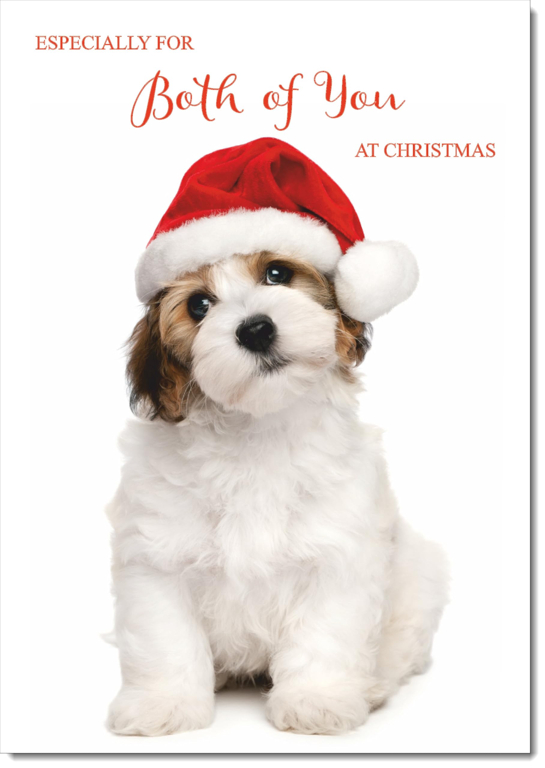 doodlecards To Both of You Christmas Card Dog and Santa Hat Large A4 Size Christmas Card for To Both of You with Plain Envelope — image 1