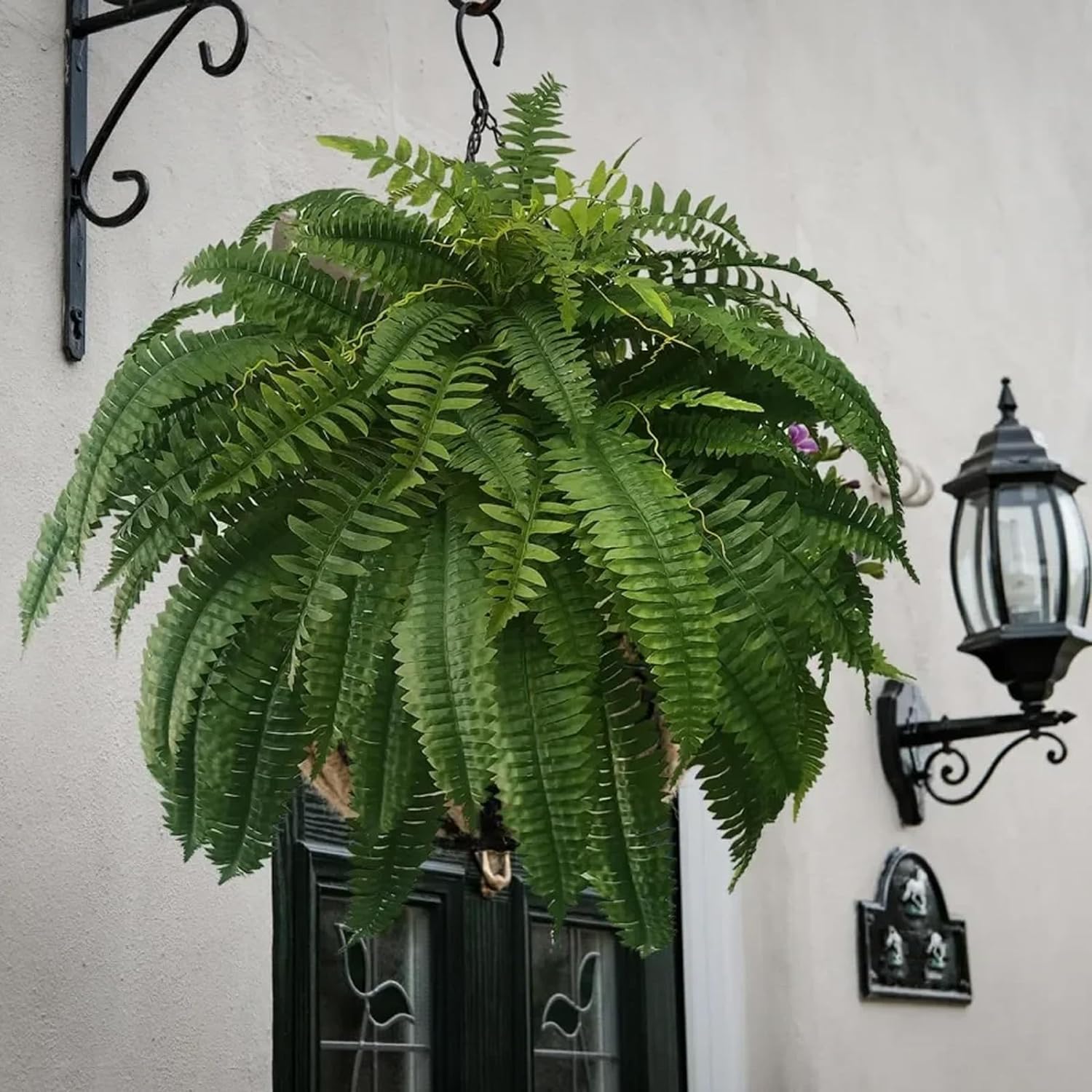 Growhabity Ferns,UV Resistant Lifelike Artificial Boston Fern, Uv