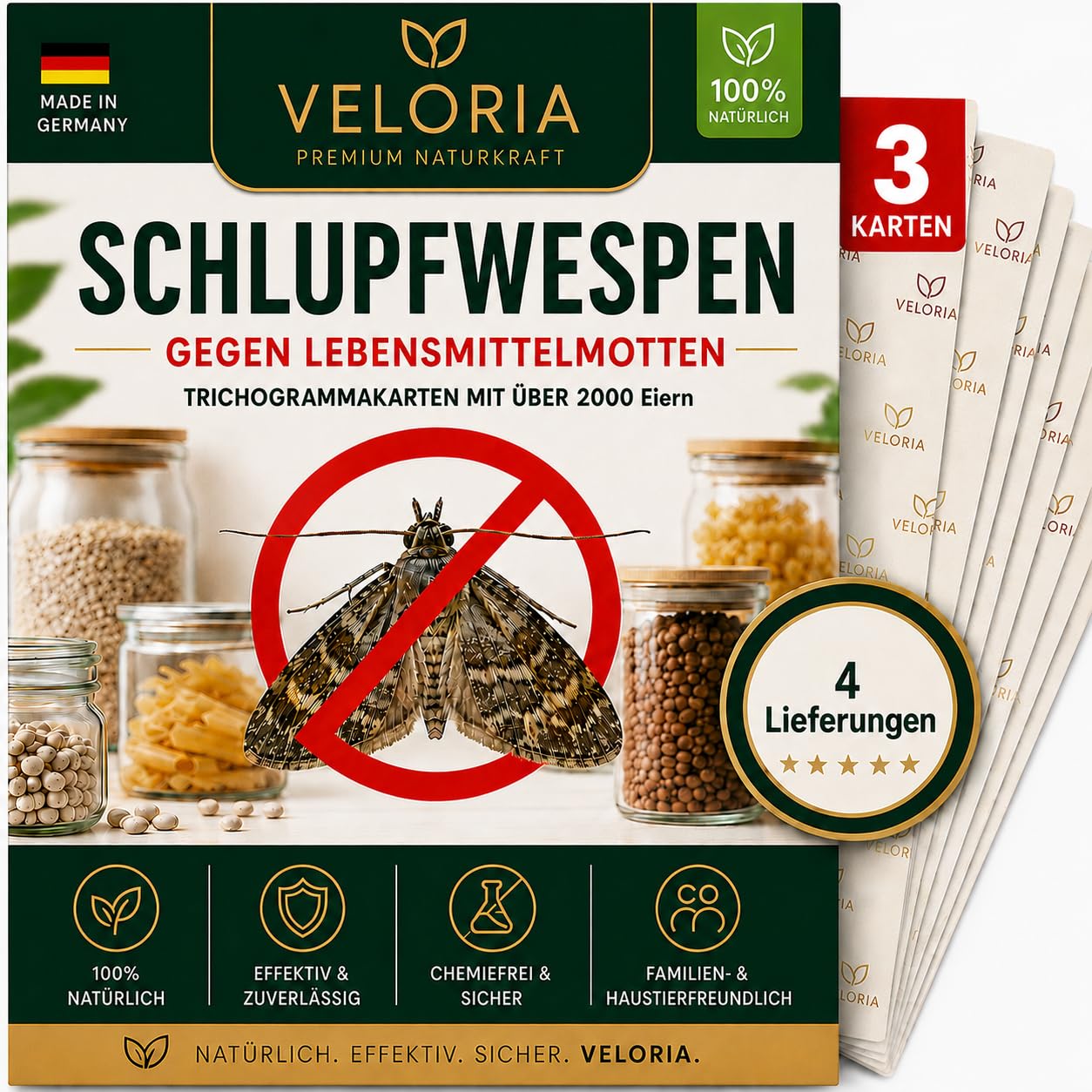 VELORIA Schlupfwespen gegen Lebensmittelmotten - 12 Karten (3 Karten à 4 Lieferungen) - Effekt. Lebensmittel Motten bekämpfen - Alternative zur Mottenfalle, Mottenspray, Pheromonfalle