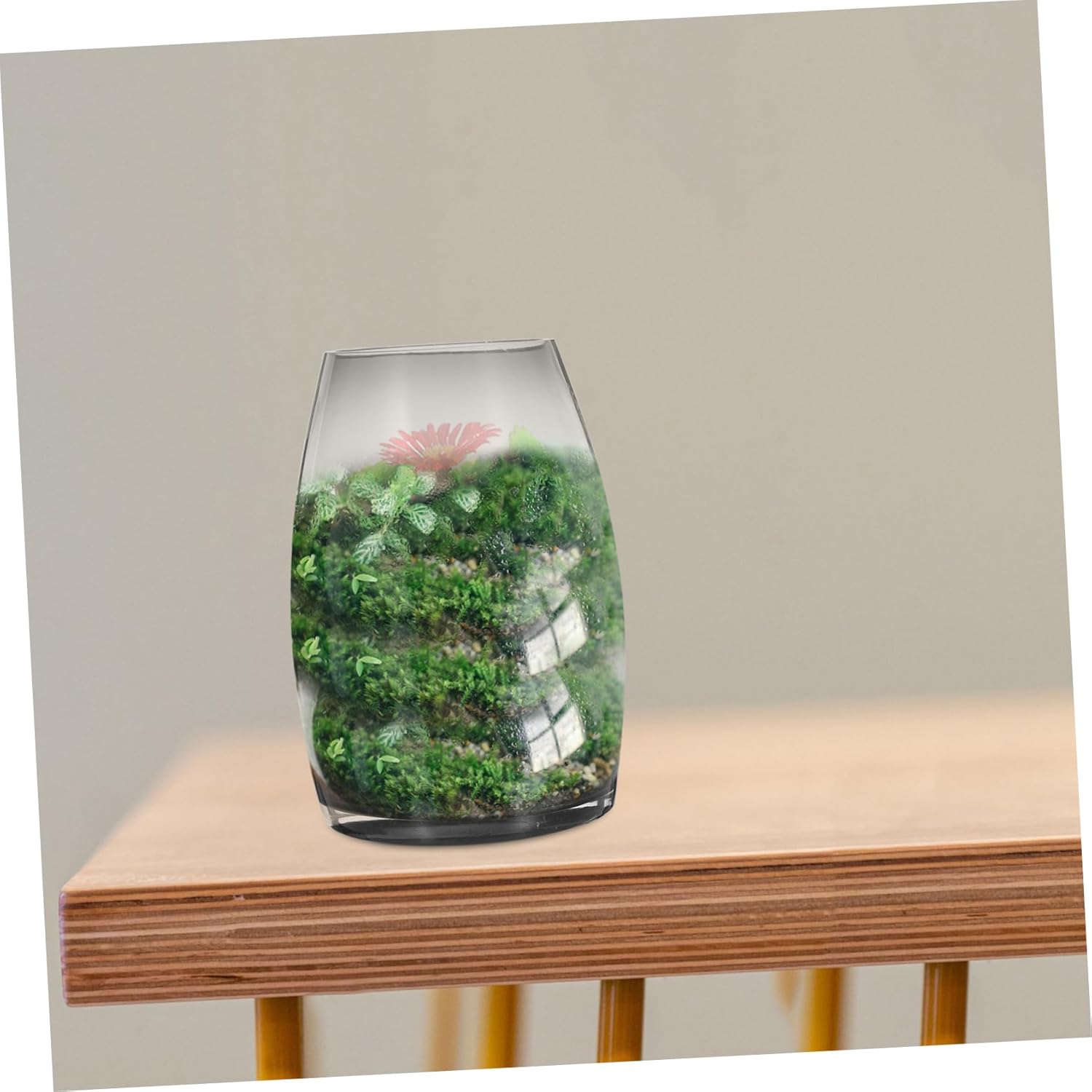 Handmade Glass Planter Vase for Micro Landscape Hydroponic Bottle for Succulents Moss and Decorative Fish Tank