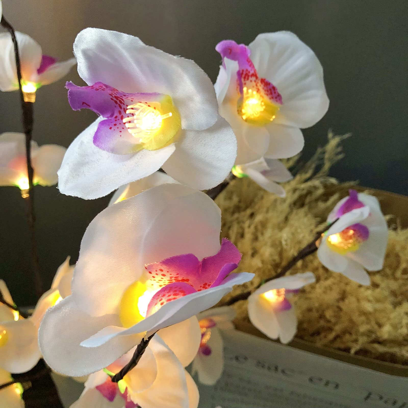 Amazon.com: Sezrgiu 2 件組LED 蘭花枝燈蝴蝶蘭枝條燈人造蝴蝶蘭花束