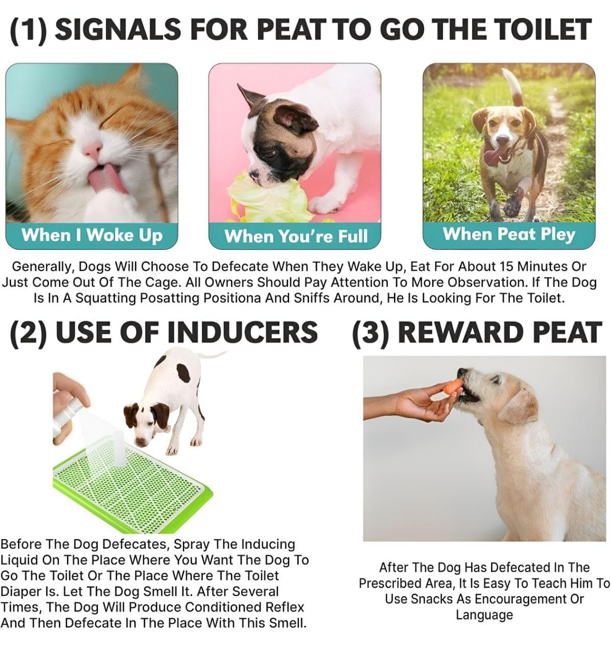 Puppy Dog Potty Training Spray 100ml | Eliminates Marking | Trains Pets Where to Urinate and Poop | Puppy & Cat Toilet Training Spray for Indoor & Outdoor Use (Pack of 4) 4