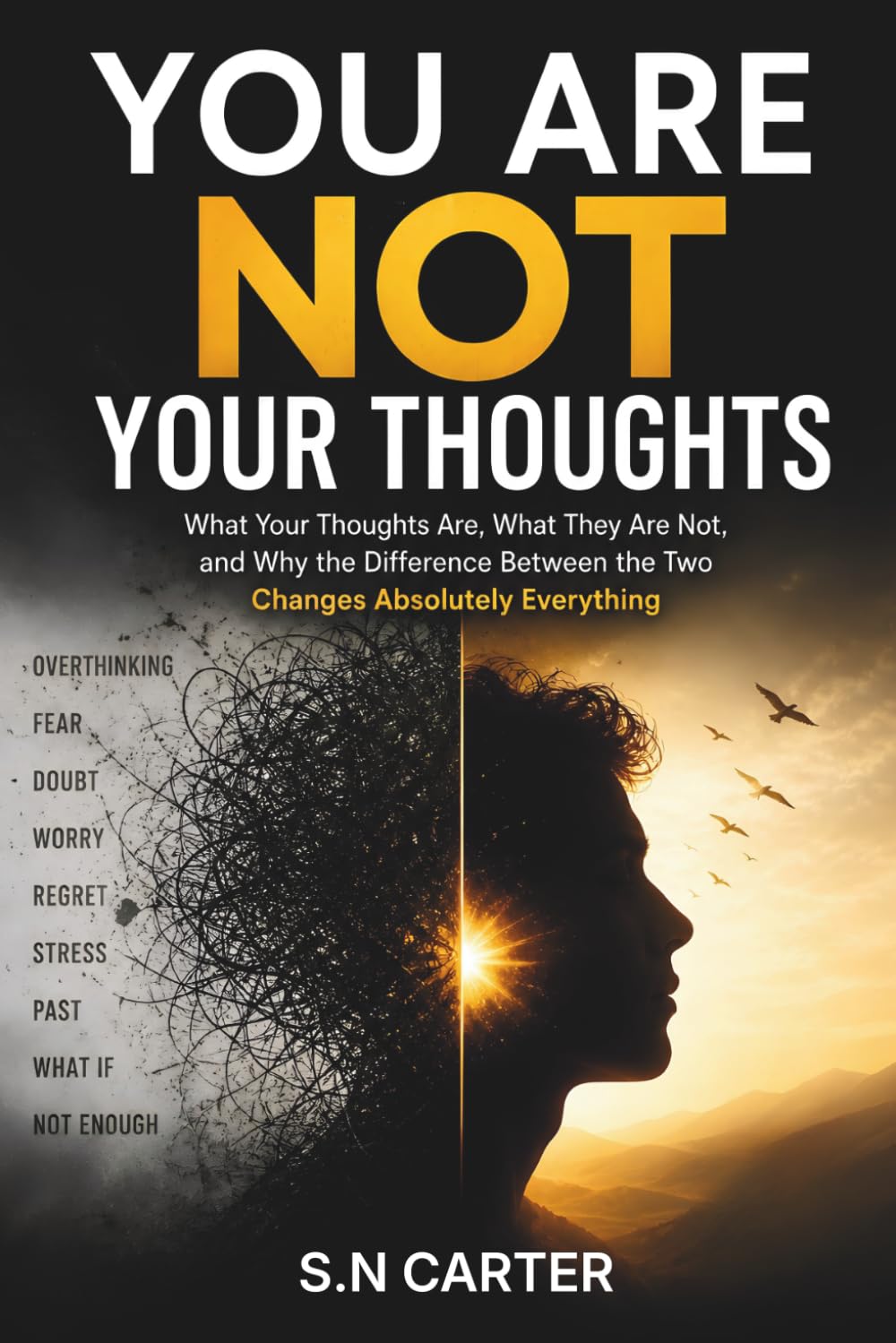 YOU ARE NOT YOUR THOUGHTS: What Your Thoughts Are, What They Are Not, and Why the Difference Between the Two Changes Absolutely Everything