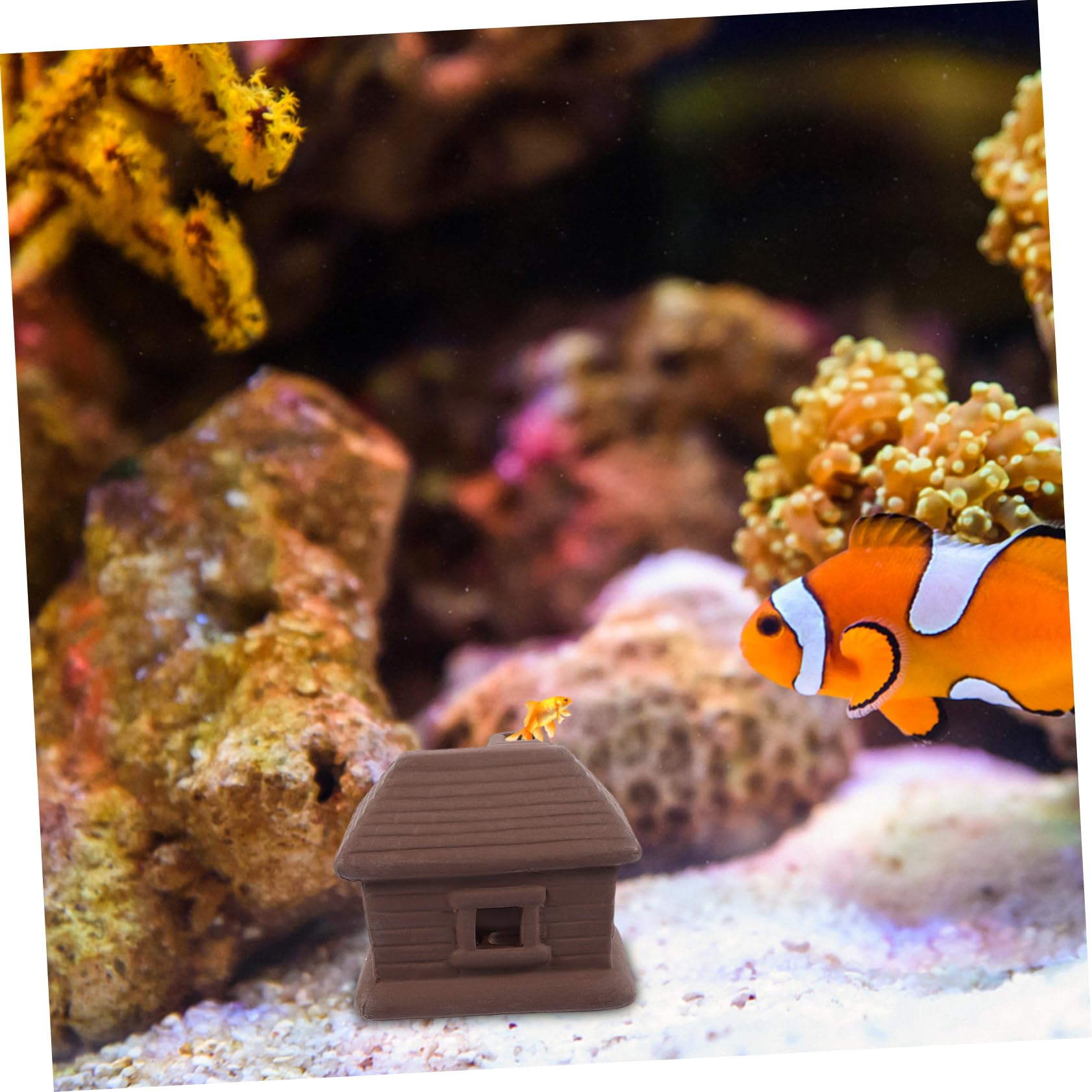 Sosoport 3stücke Aquarium Dekoration Fischhöhle Für Zucht Und Versteckmöglichkeiten Im Fischbecken Lebensnahe Gestaltung Für Aquarienlandschaften Für Fische Und Garnelen
