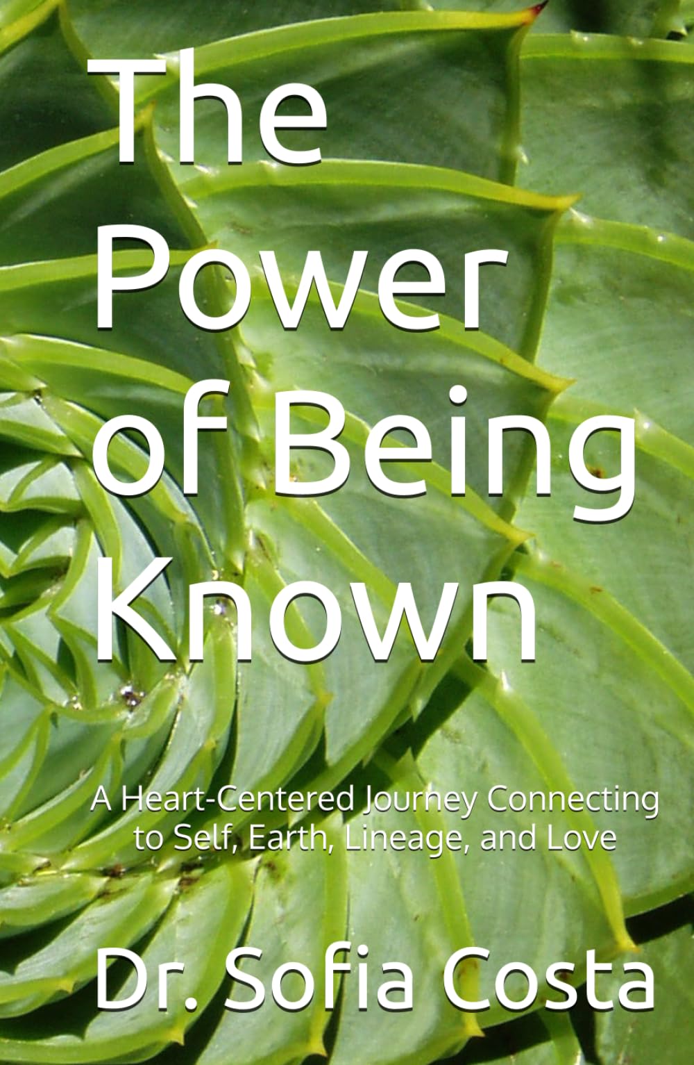 The Power of Being Known: A Heart-Centered Journey Connecting to Self, Earth, Lineage, and Love
