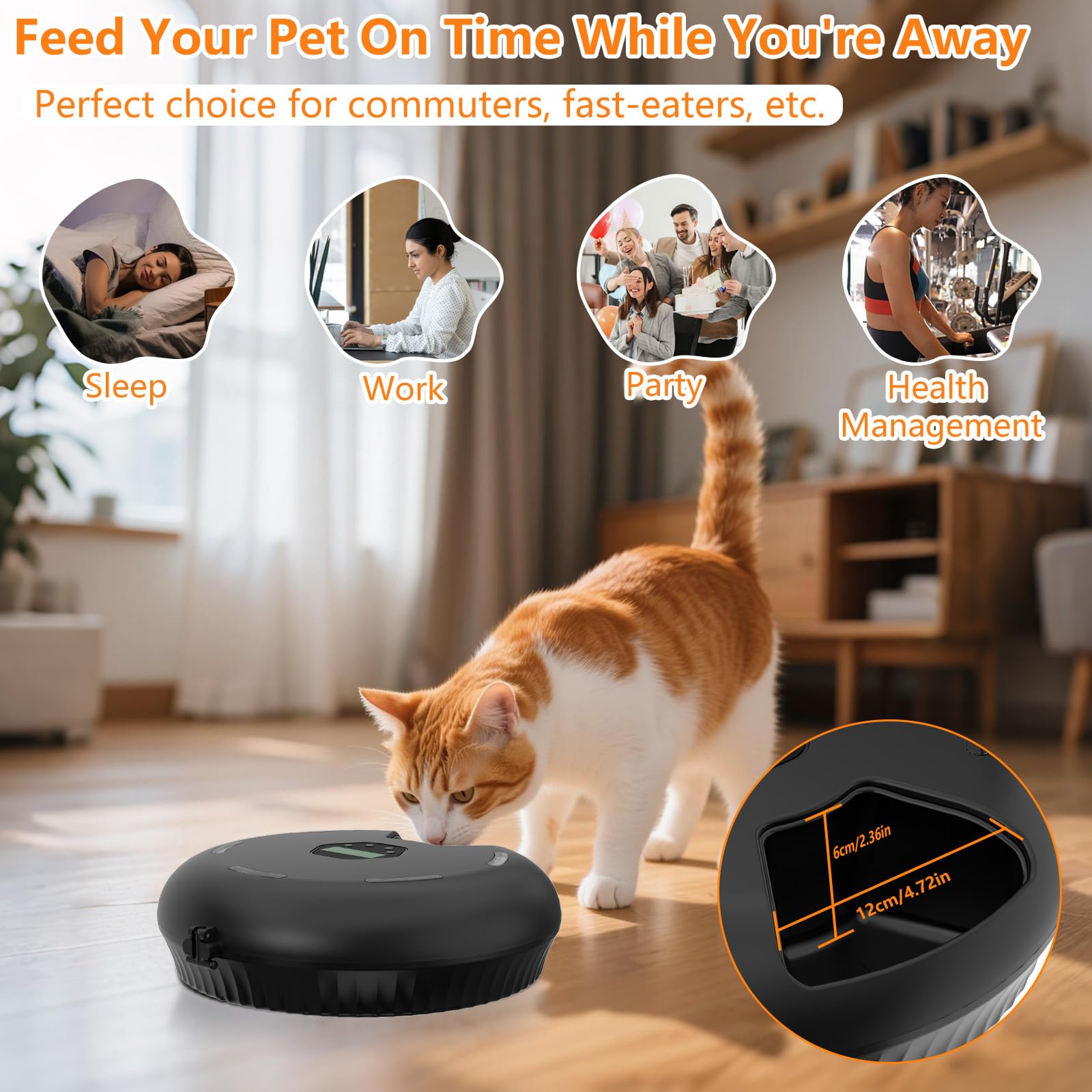 Futterautomat Katze Nassfutter, 6 Mahlzeiten Nassfutterautomat für Katzen mit 2 Kühlakkus, Programmierbarem Timer, Katzenfutter Automat Nassfutter(Black)