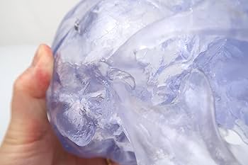 Amazon.co.jp: 透明な頭蓋骨模型 - 頭蓋透明モデル - 3B Scientific