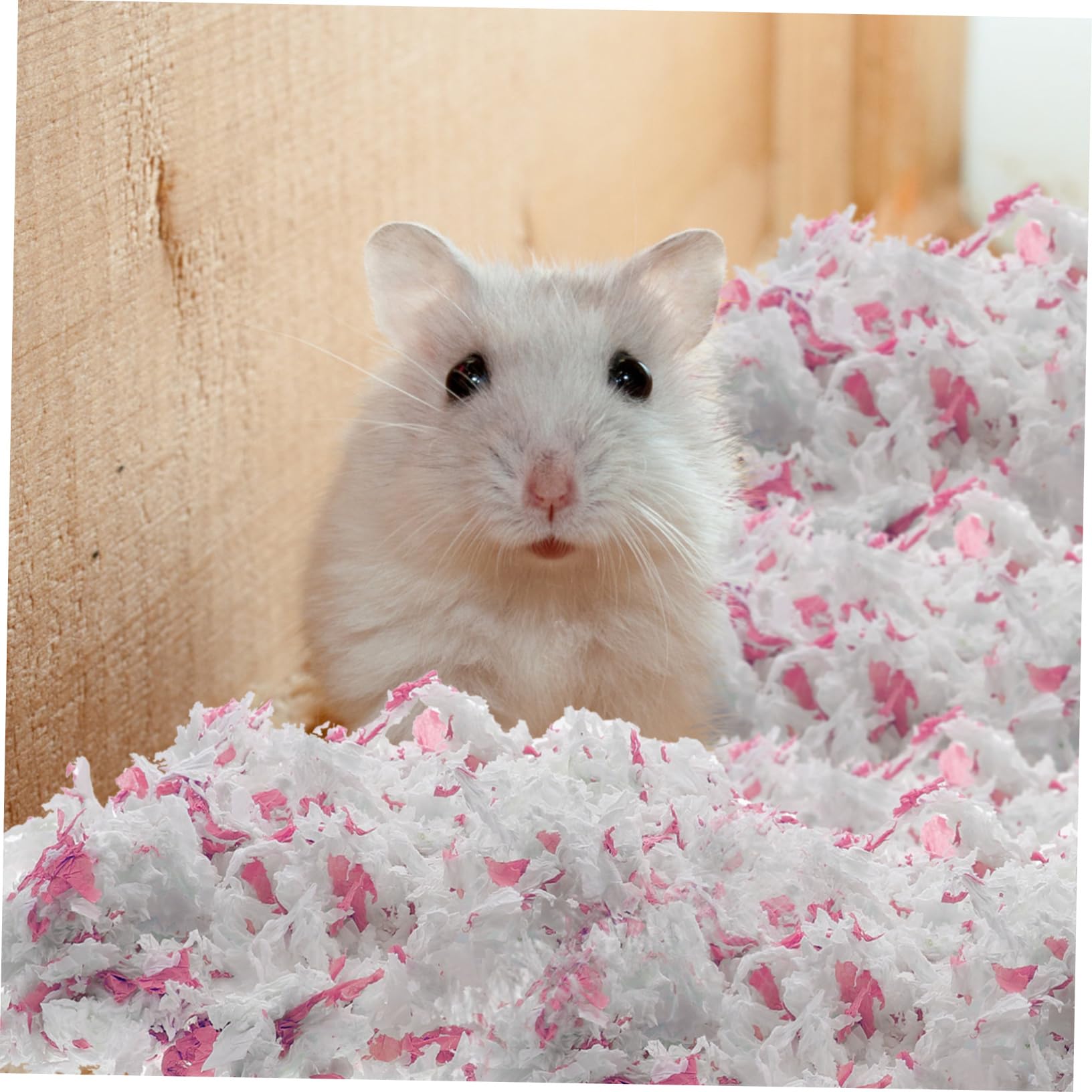 Lettiera in Carta Bianca 450g, Materiale da Nido per Gerbilli e Cincillà, Assorbe L’umidità e Mantiene Pulita la Gabbia per Animali Domestici