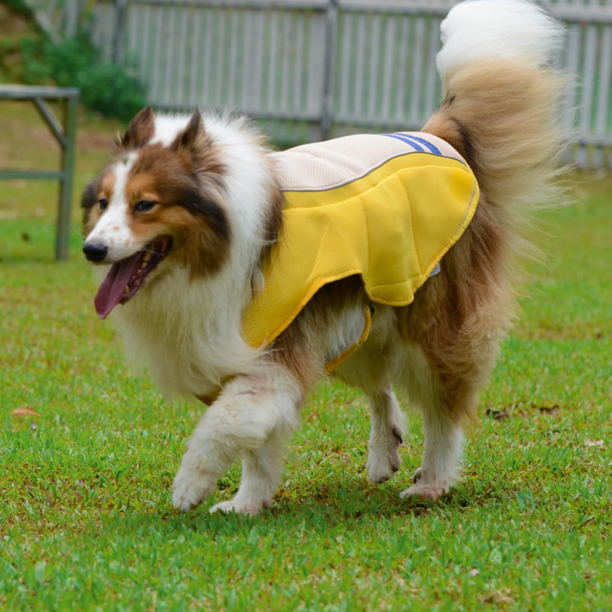 Gilet Rafraîchissant Confortable en Polyester pour Animaux de Compagnie et Prévenant Les Coups de Chaleur Jaune Sorties Quotidiennes et Fêtes du Week-End