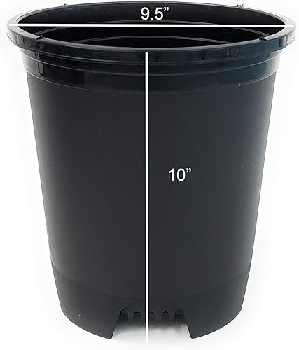 Miniatura 2 de Macetas de plástico con agujeros de drenaje, para plantas de interior o exterior, jardinería, paquete de 10