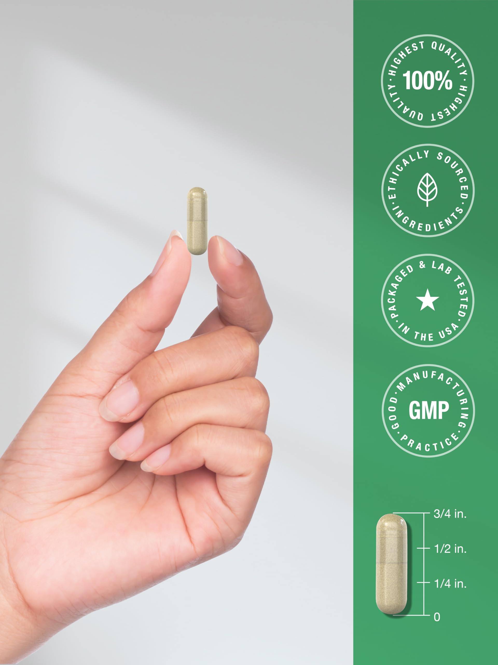 Horbäach Cordyceps Mushroom Capsules | 200 Count | CS-4 Strain — Amazon image 7