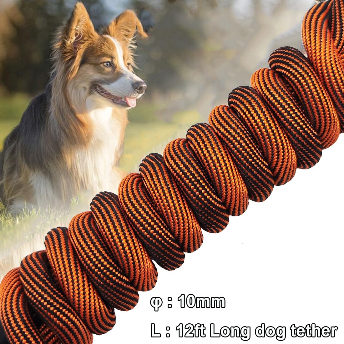 BTINESFUL Dog Tie Out, Check Cord Long Tether Rope Leash, 8ft 12ft 20ft 30ft 50ft 75ft Yard Training Dog Lead - Large Medium Small Dogs Outdoor Playing, Camping, or Backyard (12ft, Orange Black) - 5