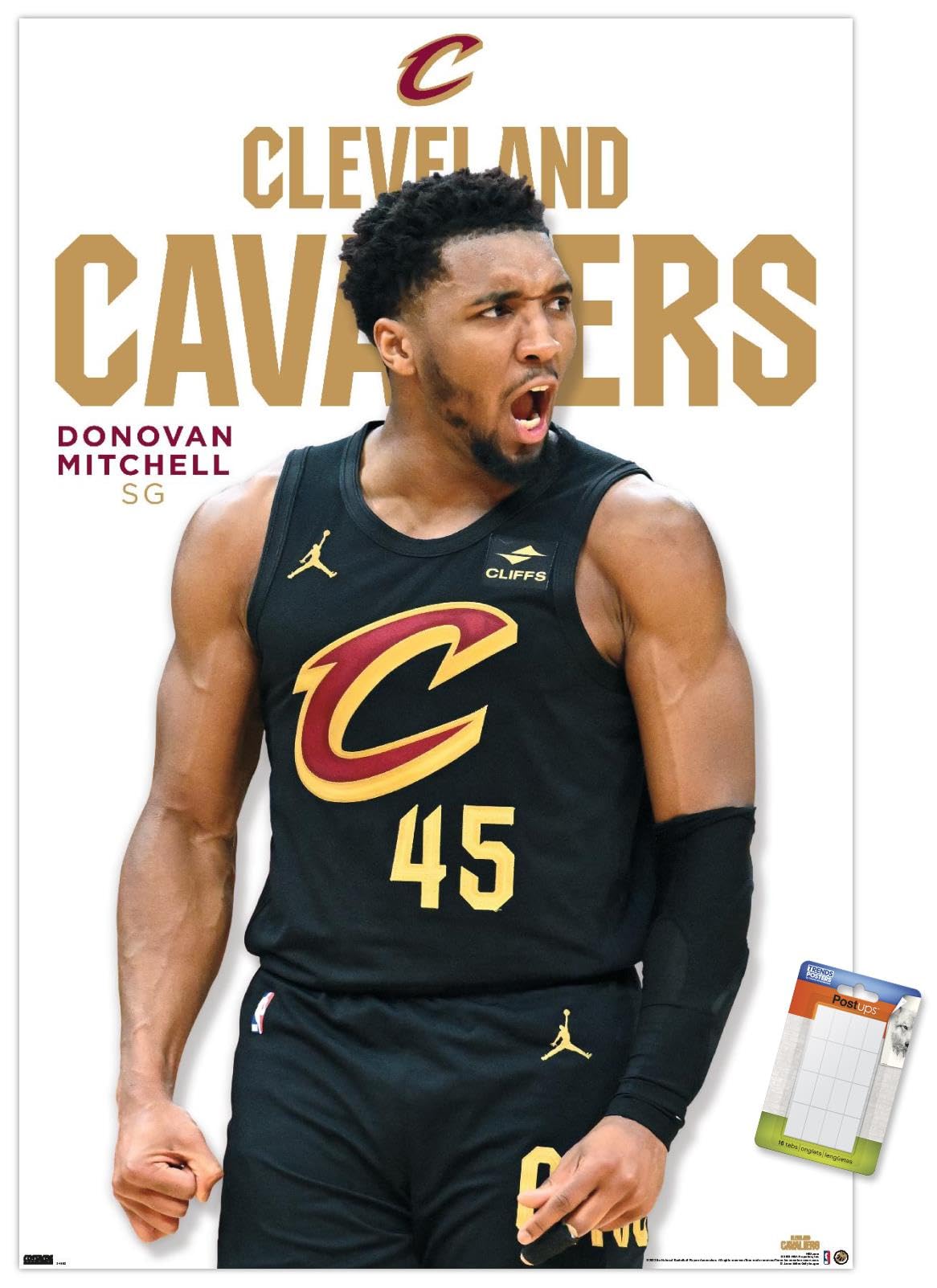 芸術写真 Michael Donovan poster Amazon.com: Trends International NBA Cleveland Cavaliers