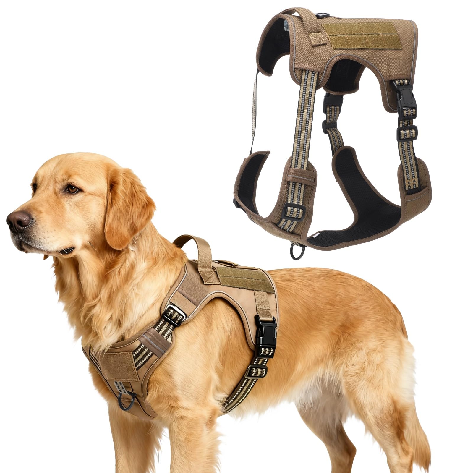 Harnais anti-traction grand chien : stoppez les tiraillements en laisse