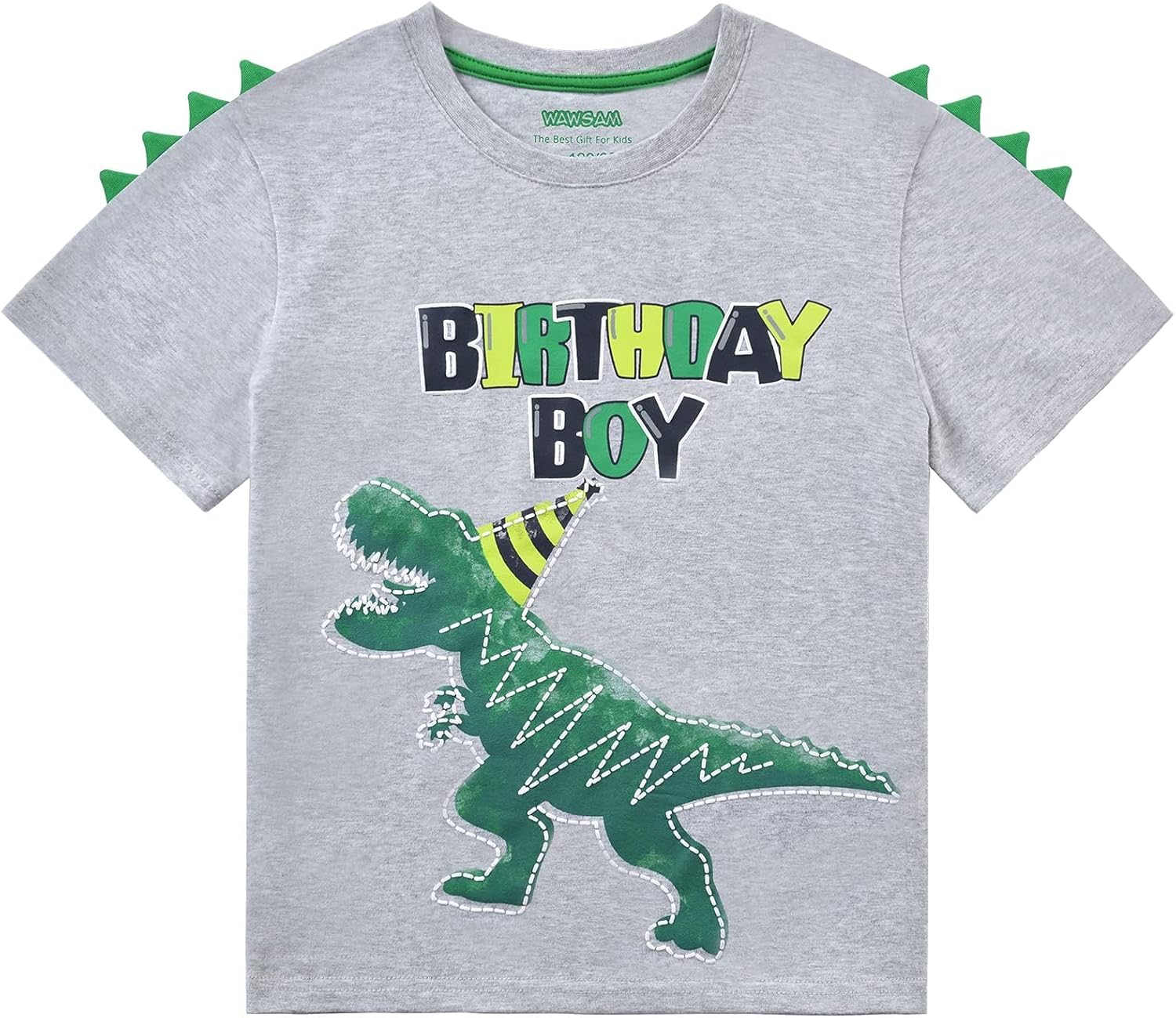 Dinosaur Birthday Boy T-Shirt - B-Day Dino Party T-Rex Top - Cotton Toddler Tee - Gray Short Sleeve Outfit