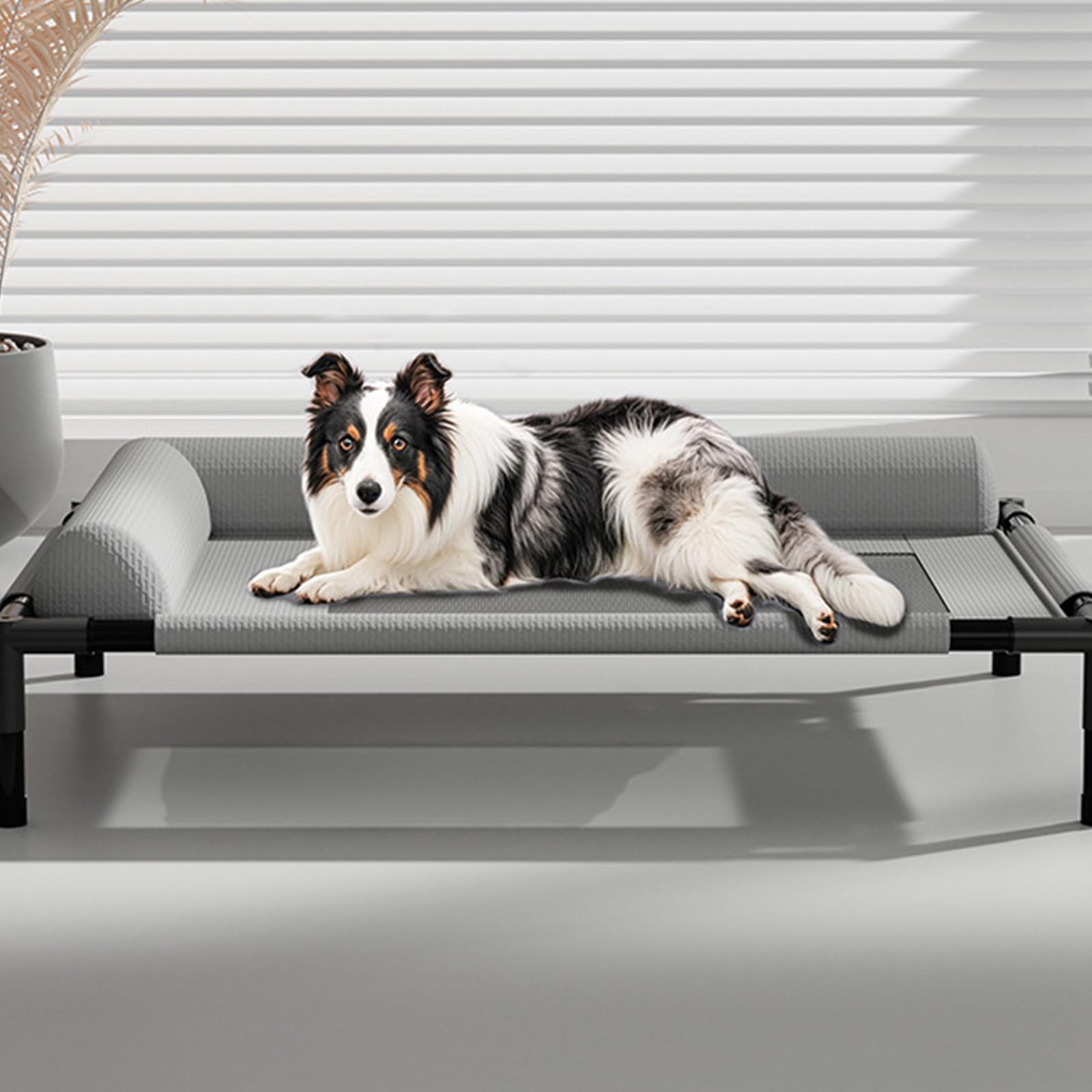 Cuccia per animali domestici, rialzata con rete traspirante e cuscino, design resistente alla masticazione, lavabile, per cani di piccola e media taglia