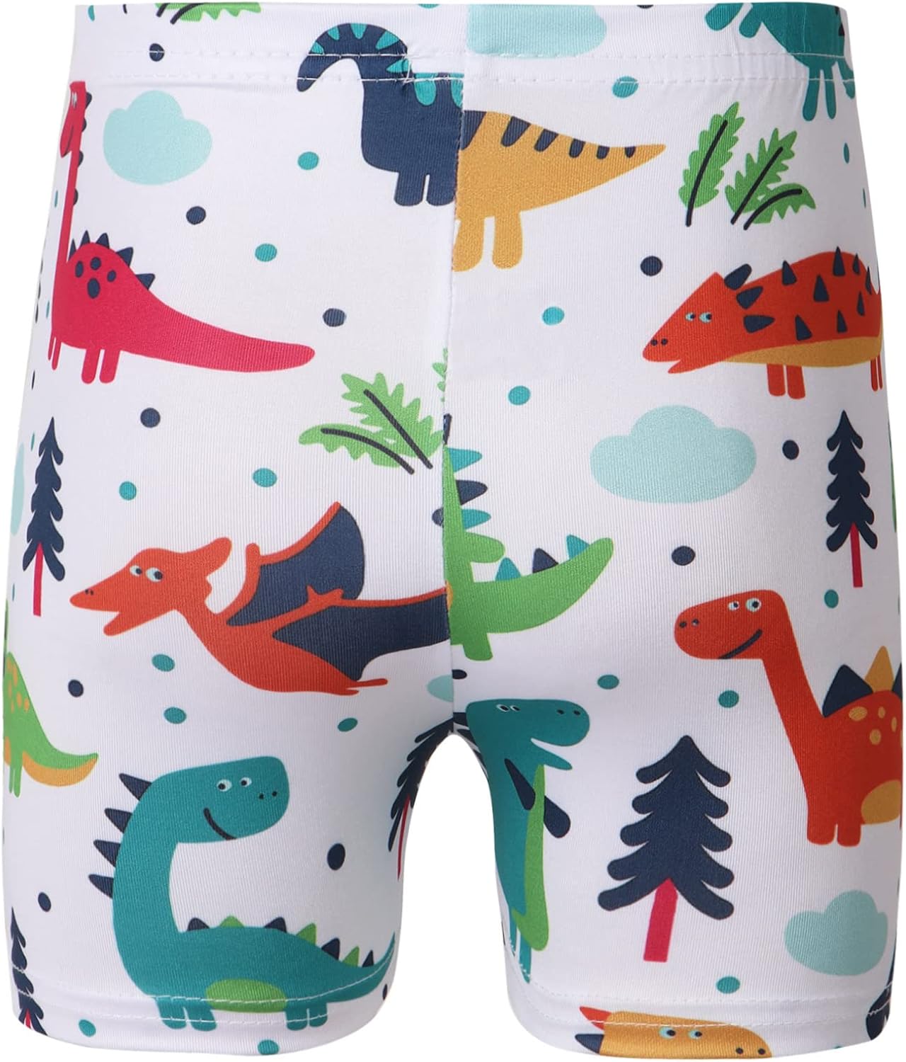 Hansber Kids Boys Rash Guard Set Colorful Print Beach Board Shorts Swimwear UPF 50+ Swim Trunks Short Pants