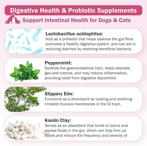Miniatura 3 de WOMRICH Probióticos para perros y gatos para la diarrea, 250 tabletas masticables, ayudan a aliviar la diarrea ocasional en gatos y perros, alivio