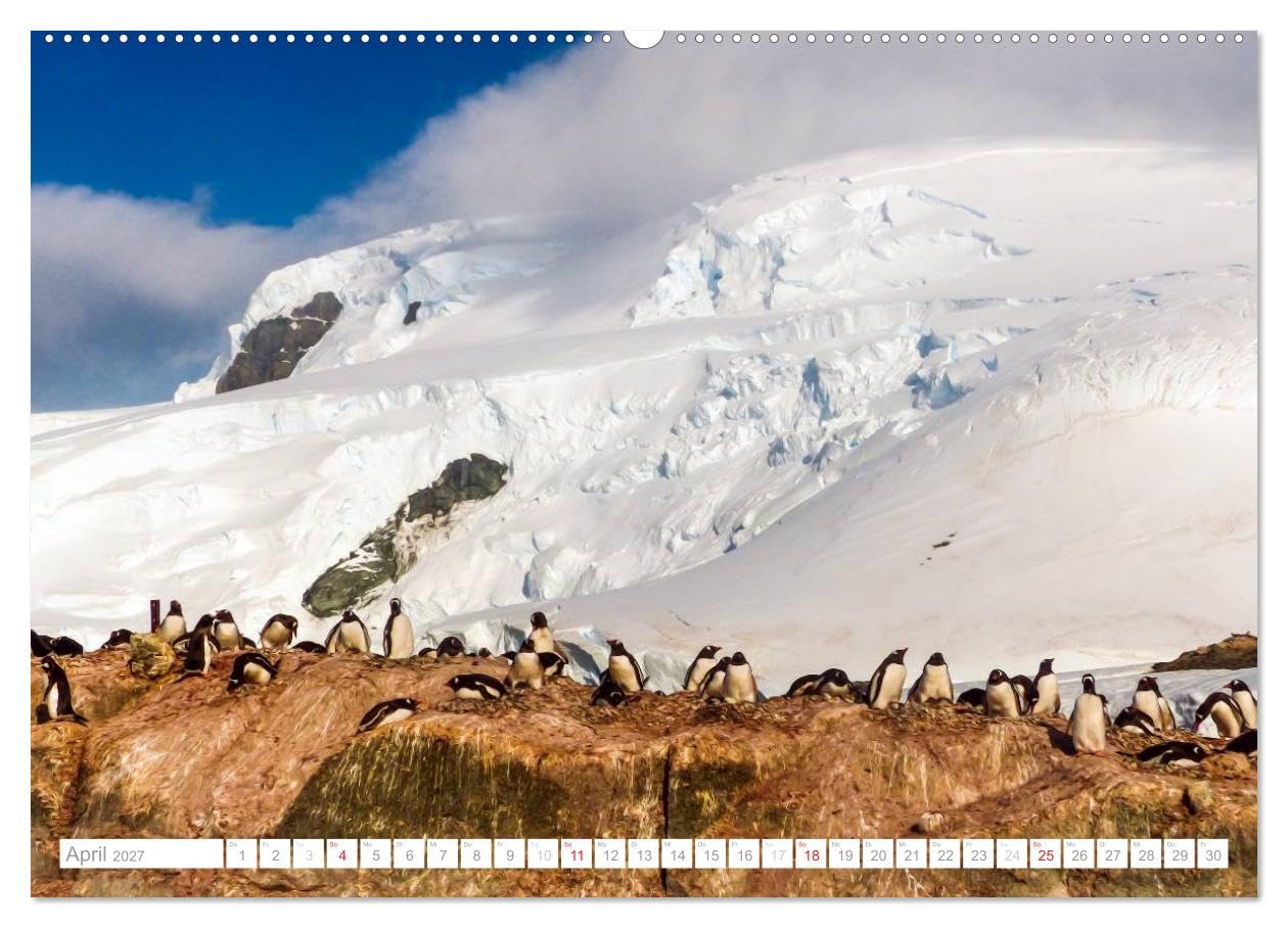 CALVENDO - Antarktis - Das Reich der Pinguine (hochwertiger Premium Wandkalender 2027 DIN A2 quer), Kunstdruck in Hochglanz: Antarktis - Lebensraum der Pinguine - Ein Blickfang im Büro und zu Hause