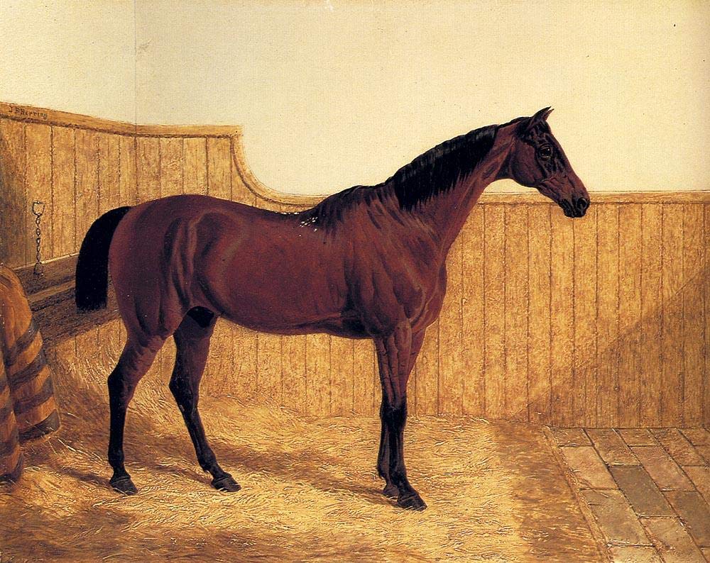 Peintures célèbres John Frederick Herring Snr : tableau huile sur toile - 5