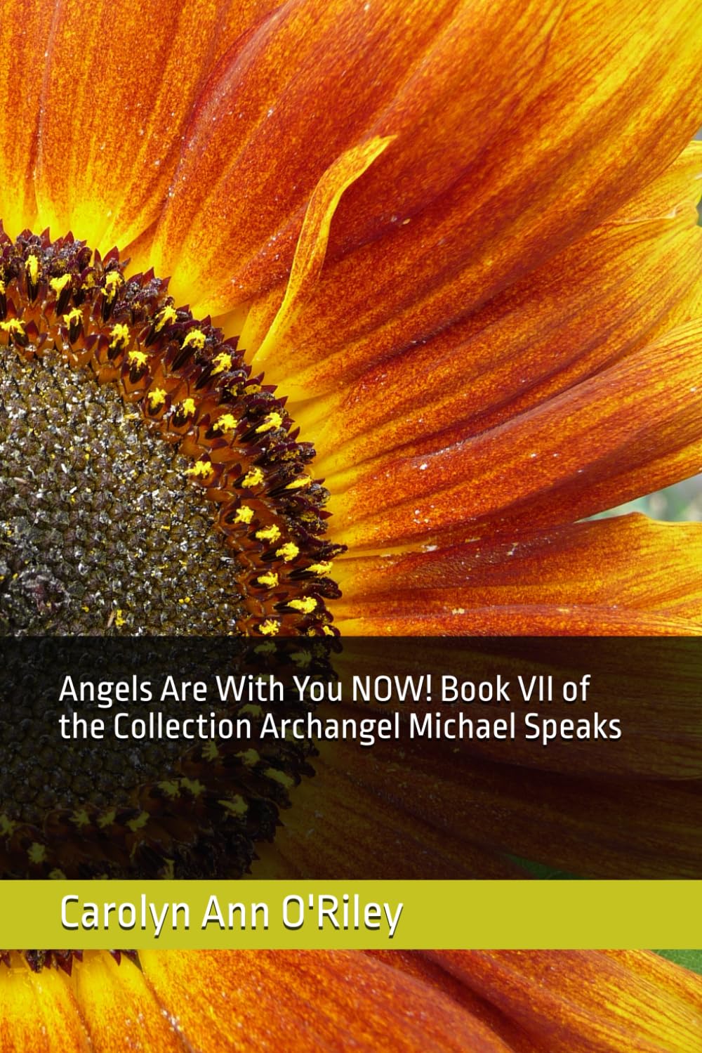 Angels Are With You NOW! Book VII of the Collection Archangel Michael Speaks