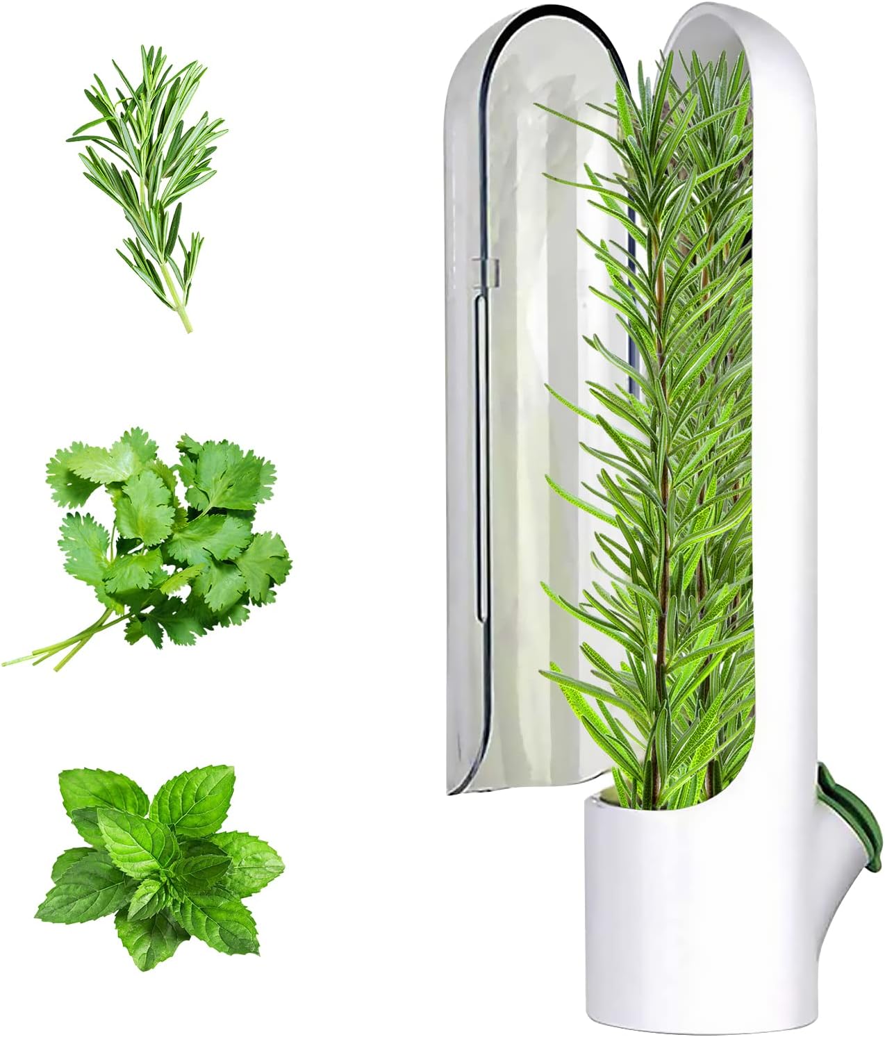 DRSUMLF Herb Storage Container Herb Saver Fresh Herb Keeper, Mint