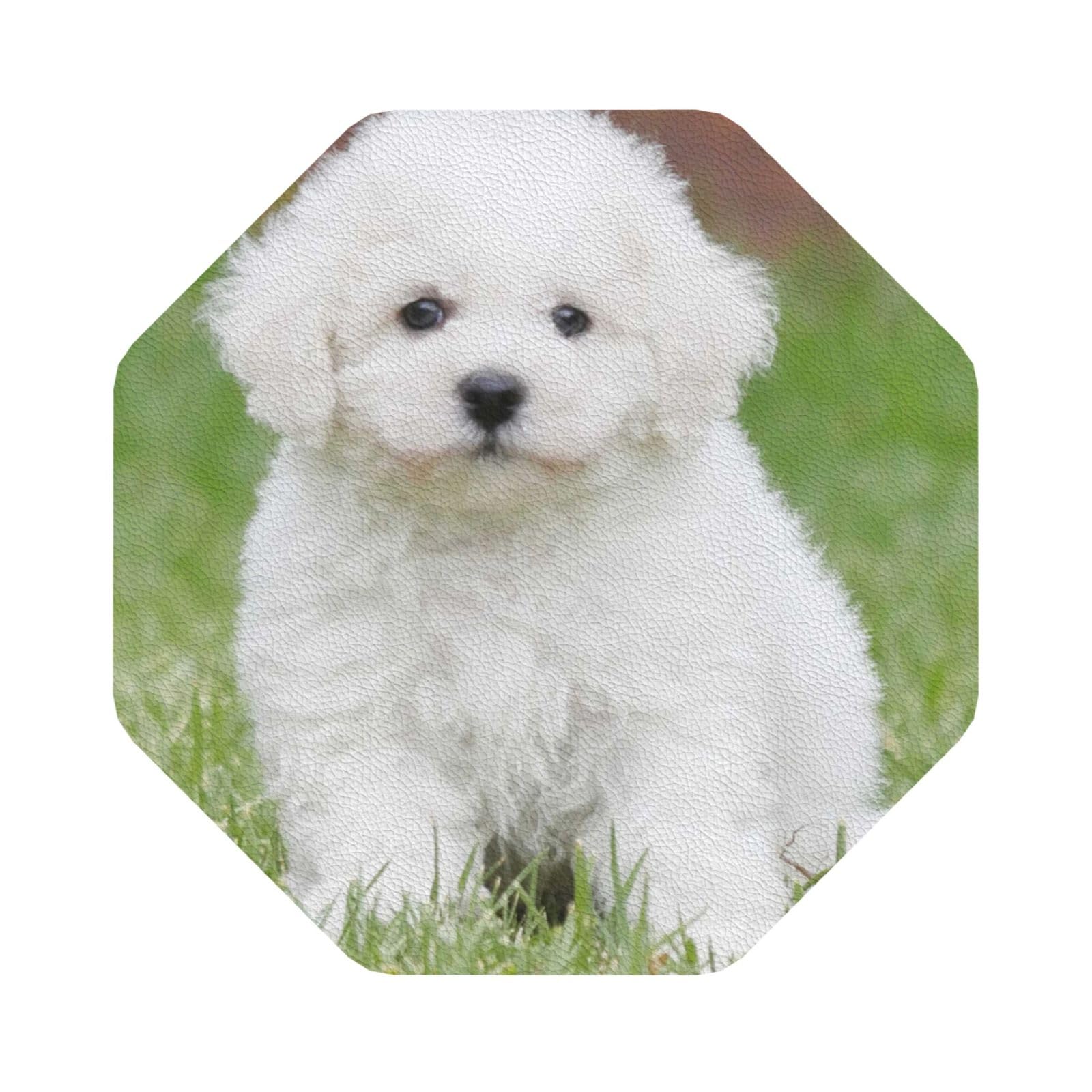 Bichon Frise Dog PU Leather Coasters Set of 6 Octagon Drink Coasters