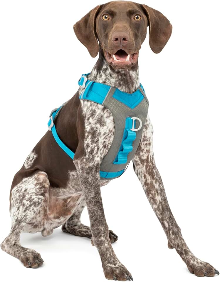 Kurgo Journey Air Dog Harness