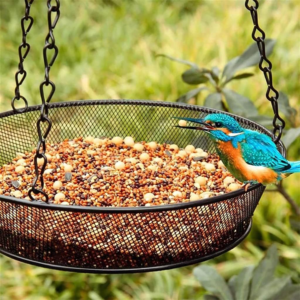 Amazon.co.jp: 鉄のチェーン野鳥の種の餌の森ぶら下げカップ庭の餌やり