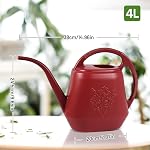 Elegant Watering Can for Outdoor and Indoor Use, Red