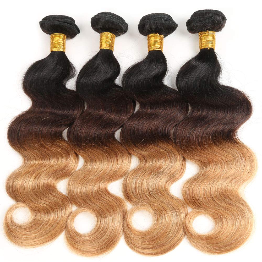 𝗜𝗻𝘀𝗤𝘂𝗲𝗲𝗻 Ombre Human Hair Bundles with Closure 100% Unprocessed Virgin Brazilian Human Hair Body Wave 4 Bundles with 4x4 Lace Closure Free Part (10 10 10 10+10#T1B/4/27)