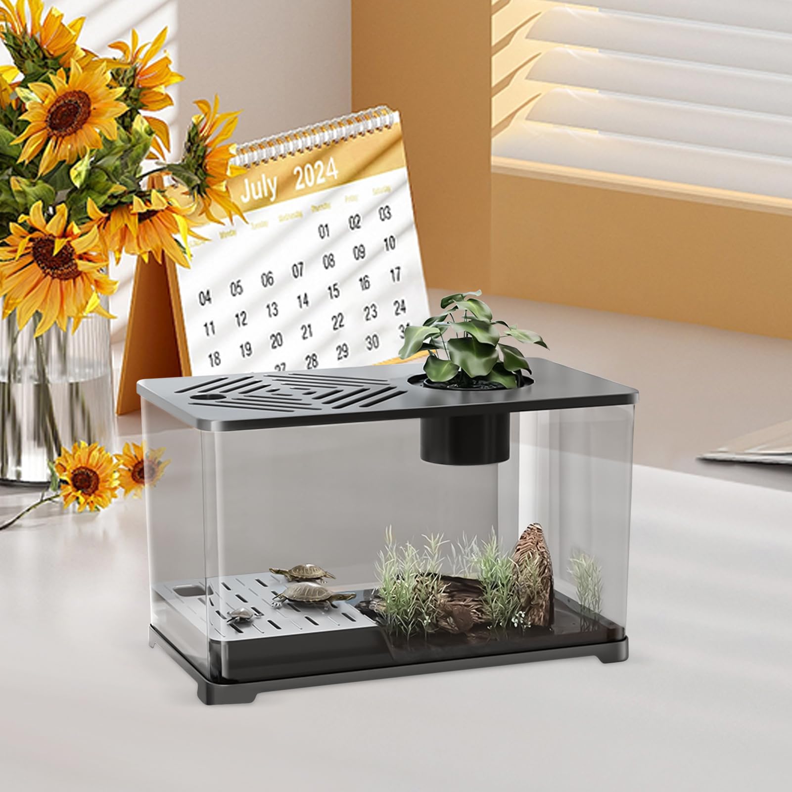 Acuario Acuario Grande Kit Completo de Escritorio | Contenedor Moderno con Zona para Tortugas, Accesorios para Peces Betta y Camarones con Plantas Acuáticas