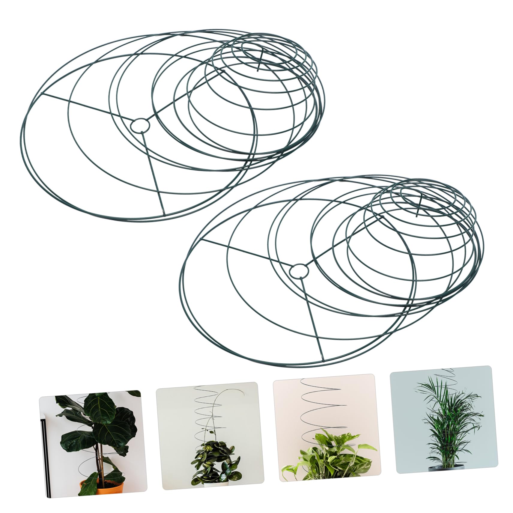 Supports de Plantes Spiralés 2 Pièces en Acier Inoxydable pour Jardin