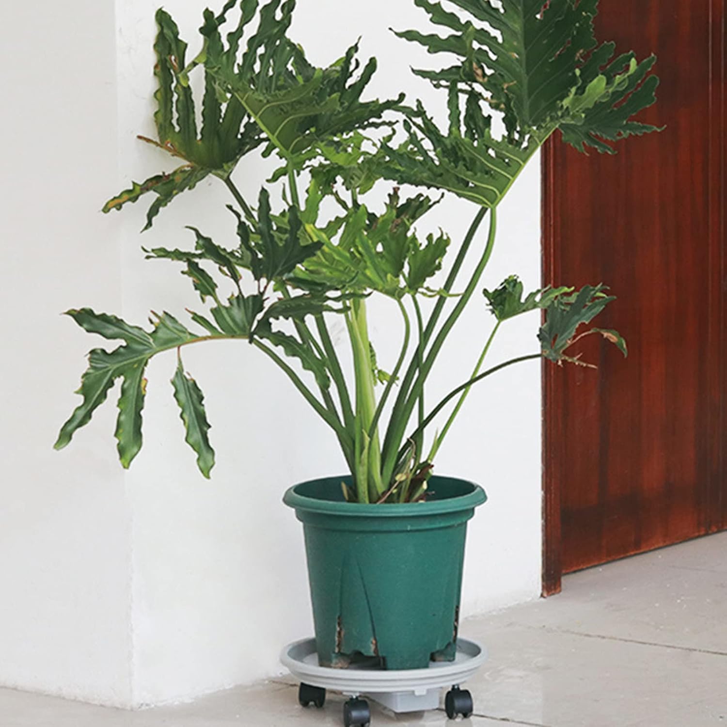 Plant Caddy with Wheels Diameter 27cm, Plant Caddy with Easy Moving Caster Wheels Round Movable Planter Dolly Trolley Tray Pallet Outdoor Indoor Tree Flower Stand Planter