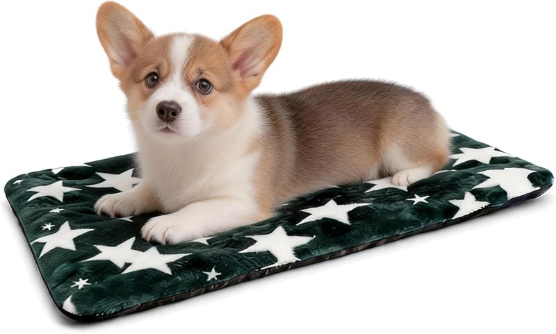 Cama Ortopédica para Cães com Base Antiderrapante RofKiss 60,96 x 45,72 x 3,81 cm