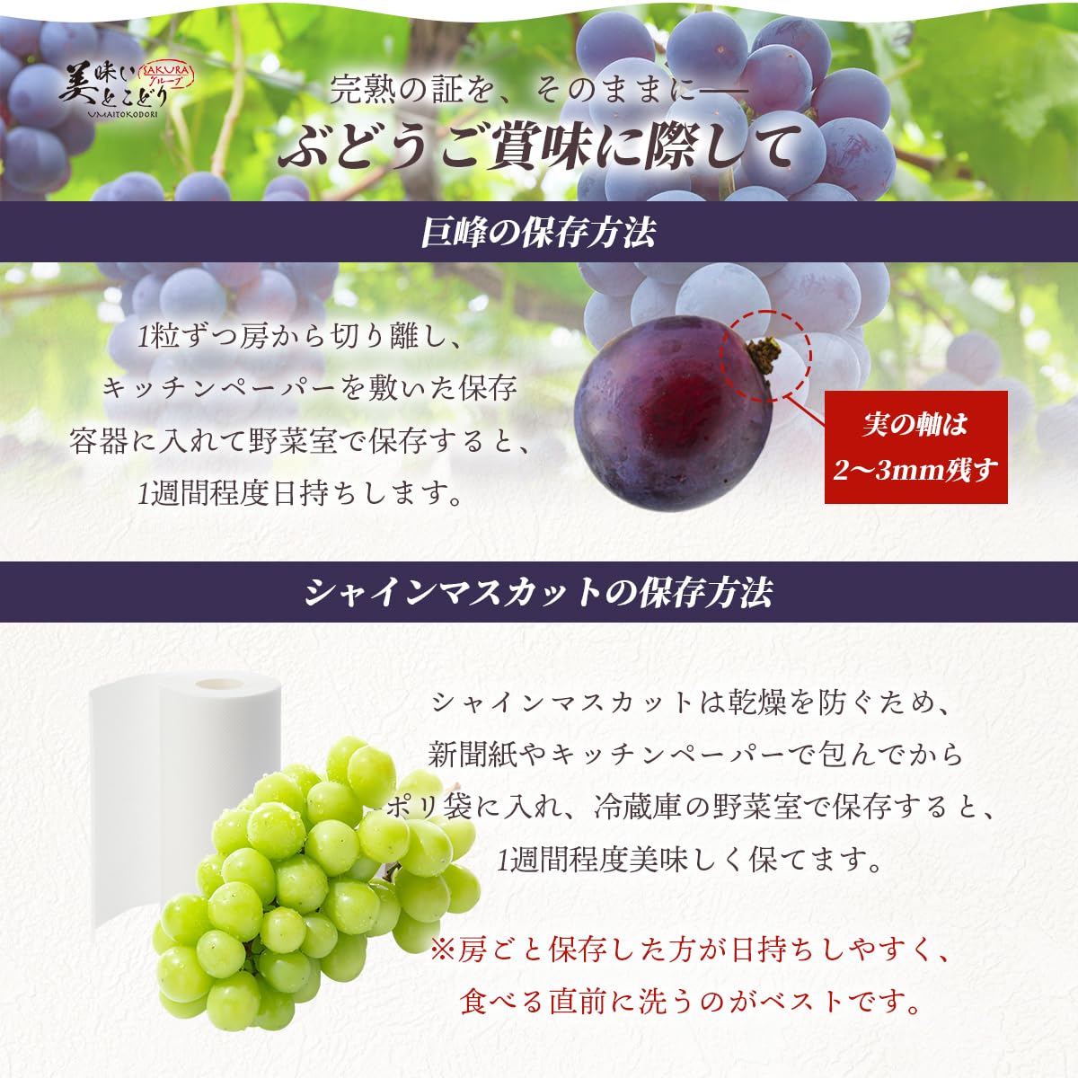 Amazon.co.jp: 美味いとこどり 高級 巨峰 シャインマスカット セット各