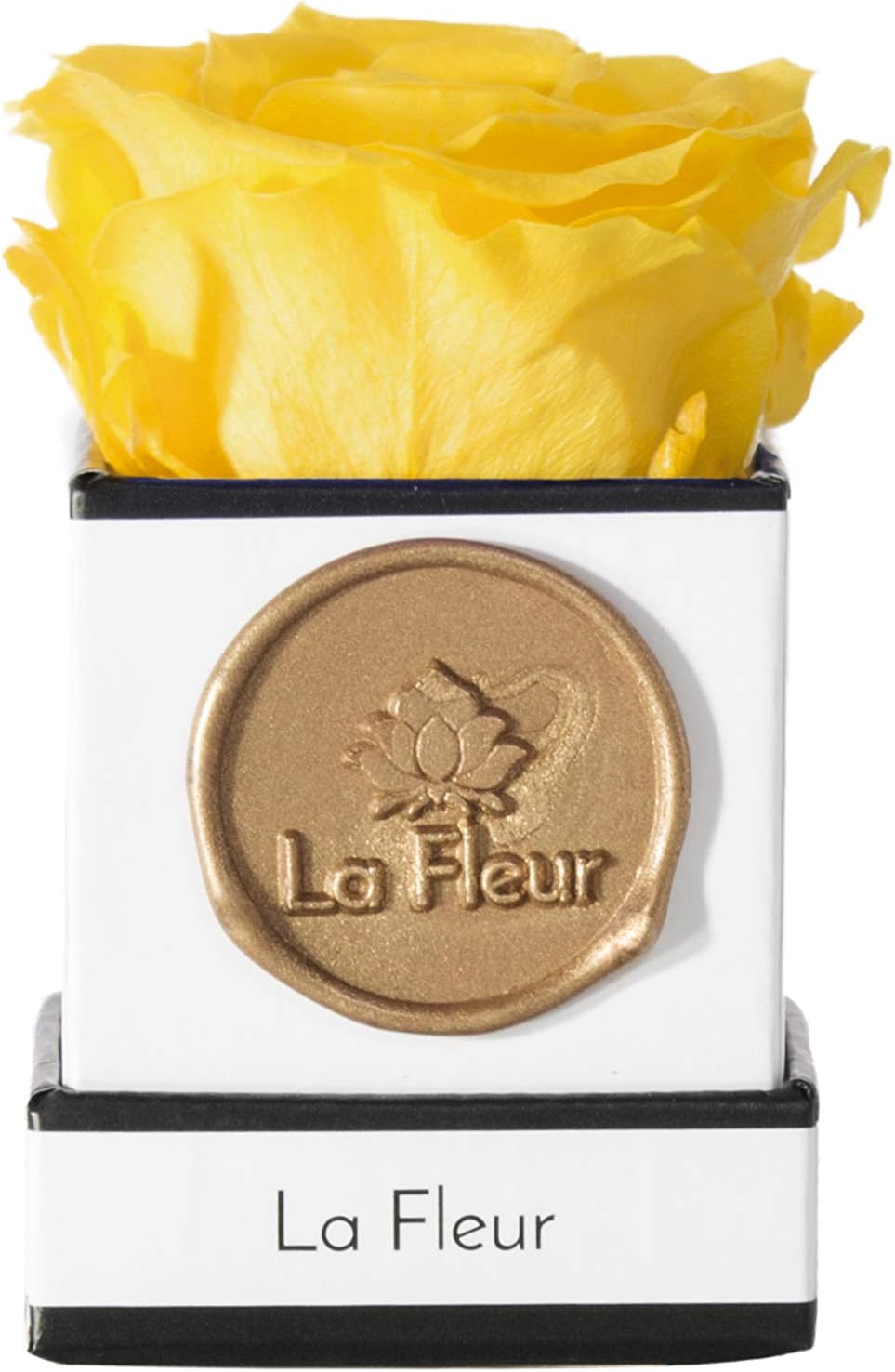 La Fleur Mini Real Forever Roses That Last A Year & More Beautiful Luxury