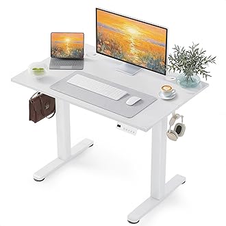 YDN Electric Standing Desk Adjustable Height, 40 x 24 Inches Stand up Desk with Cable Management, Home Office Desks with Splice Board & White Frame, White Top