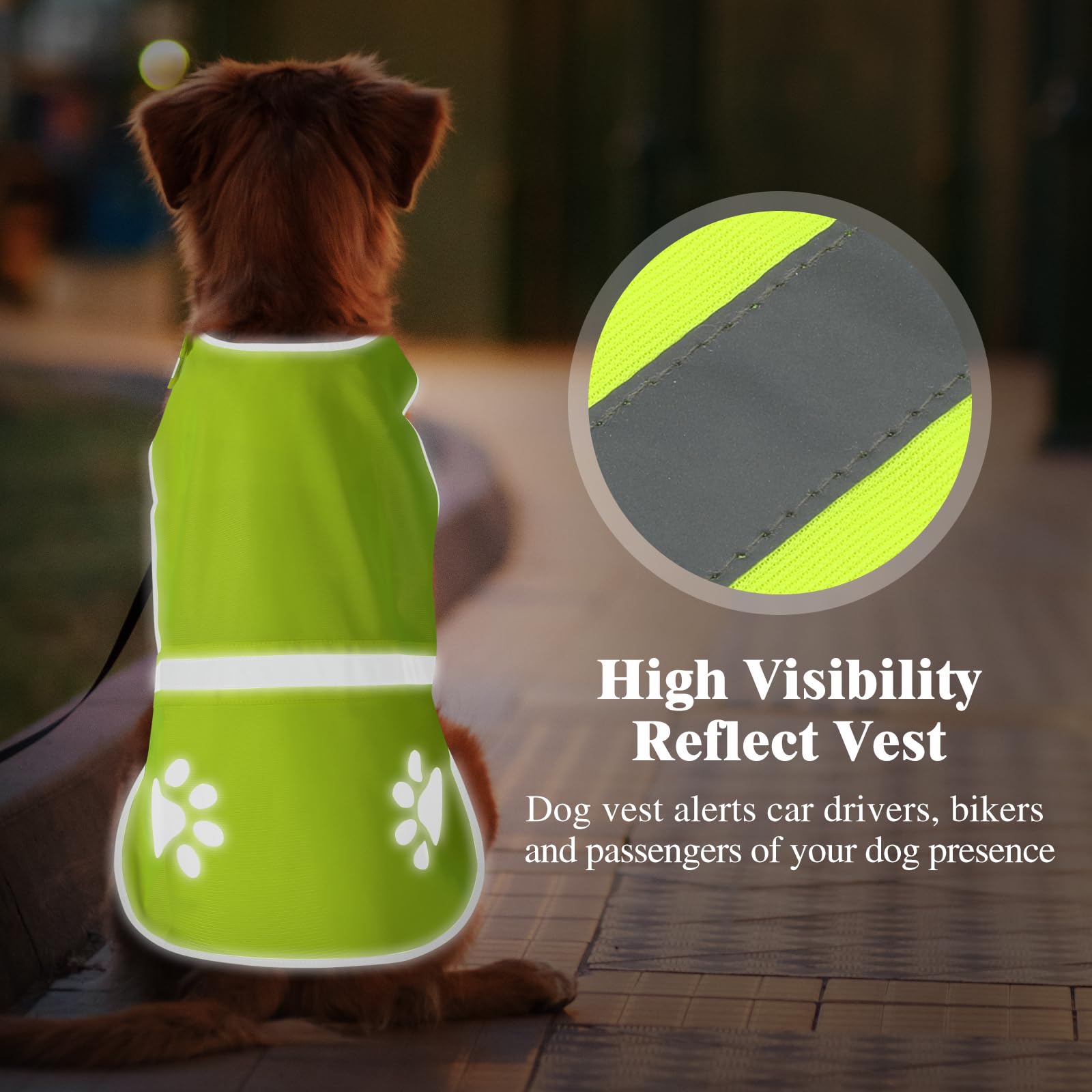 Amazon | Candofly 安全のための反射犬ベスト - 高視認性蛍光ペット