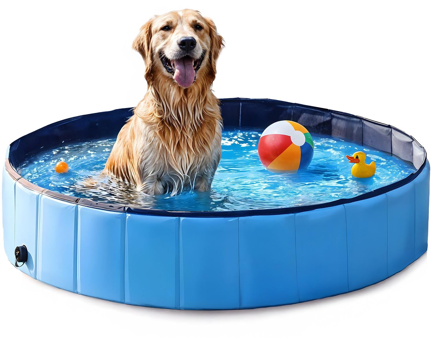 Piscina per cani Dexter, 80 x 20 cm, pieghevole per cani e animali, capacità 100 l, fondo antiscivolo, blu