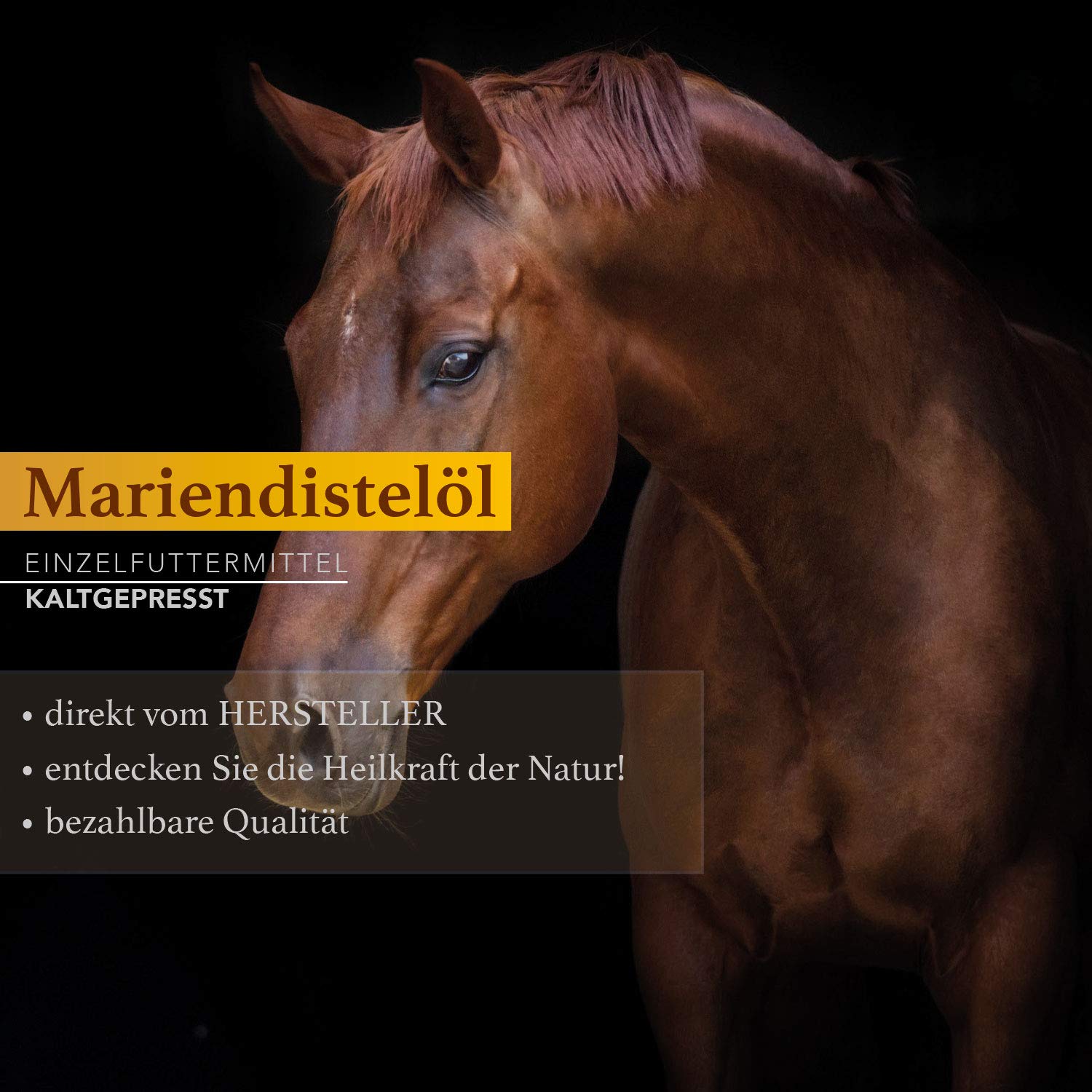 Naturzade Mariendistelöl Einzelfuttermittel Pferde (kaltgepresst) 5 Liter Kanister
