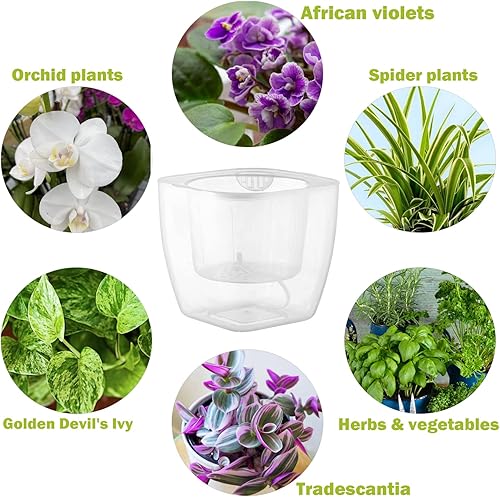 Miniatura 2 de Paquete de 6 macetas transparentes de riego automático para plantas de interior de 7 pulgadas, macetas grandes de violeta africana, macetas de