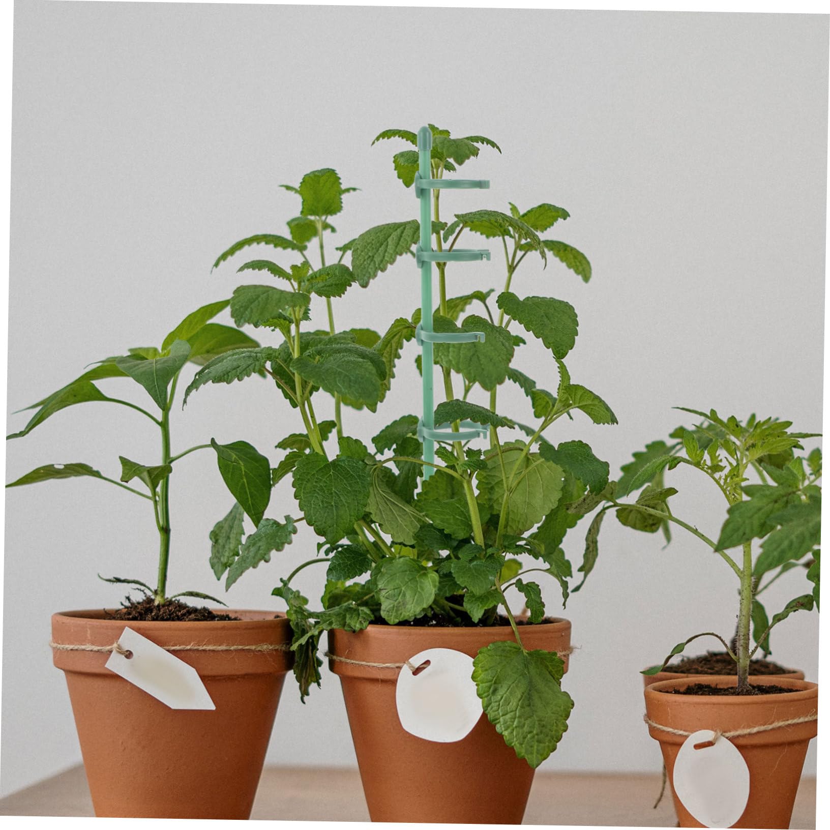 2 Ensembles Tige de Soutien pour Plantes de Jardin de Piquets de Soutien Floraux Boucles Ajustables pour Roses Plantes Grimpantes Outils Pratiques pour Jardinage Extérieur