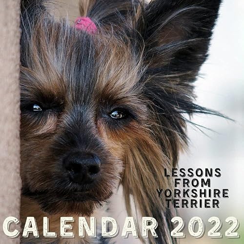 Lessons From Yorkshire Terrier Calendar 2022: September 2021 - December 2022 Monthly Planner Mini Calendar With Inspirational Quotes