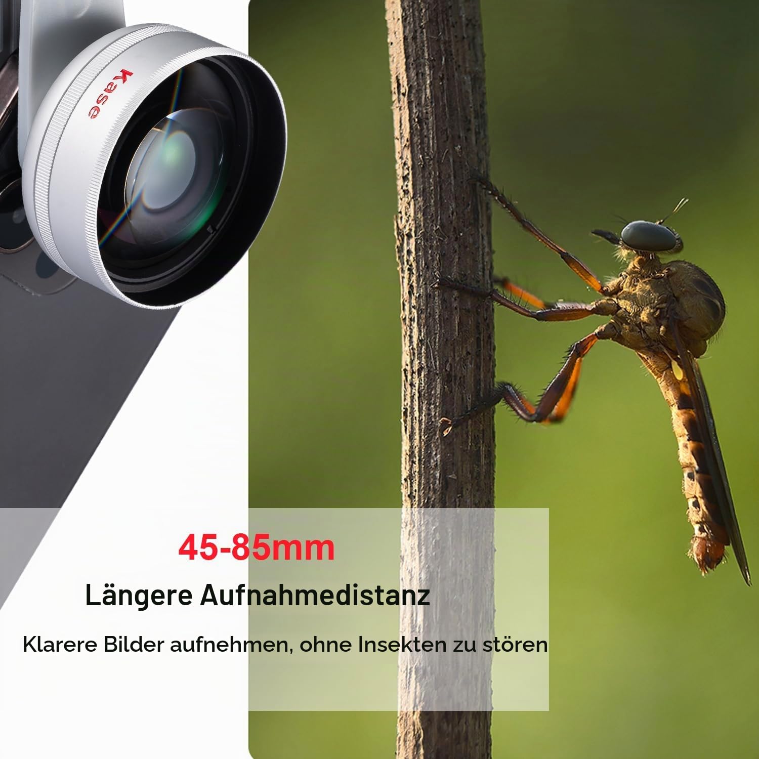 Kase Master HD Telefon-Makroobjektiv aktualisiert mehr für iPhone 17 16 15 14 13 12