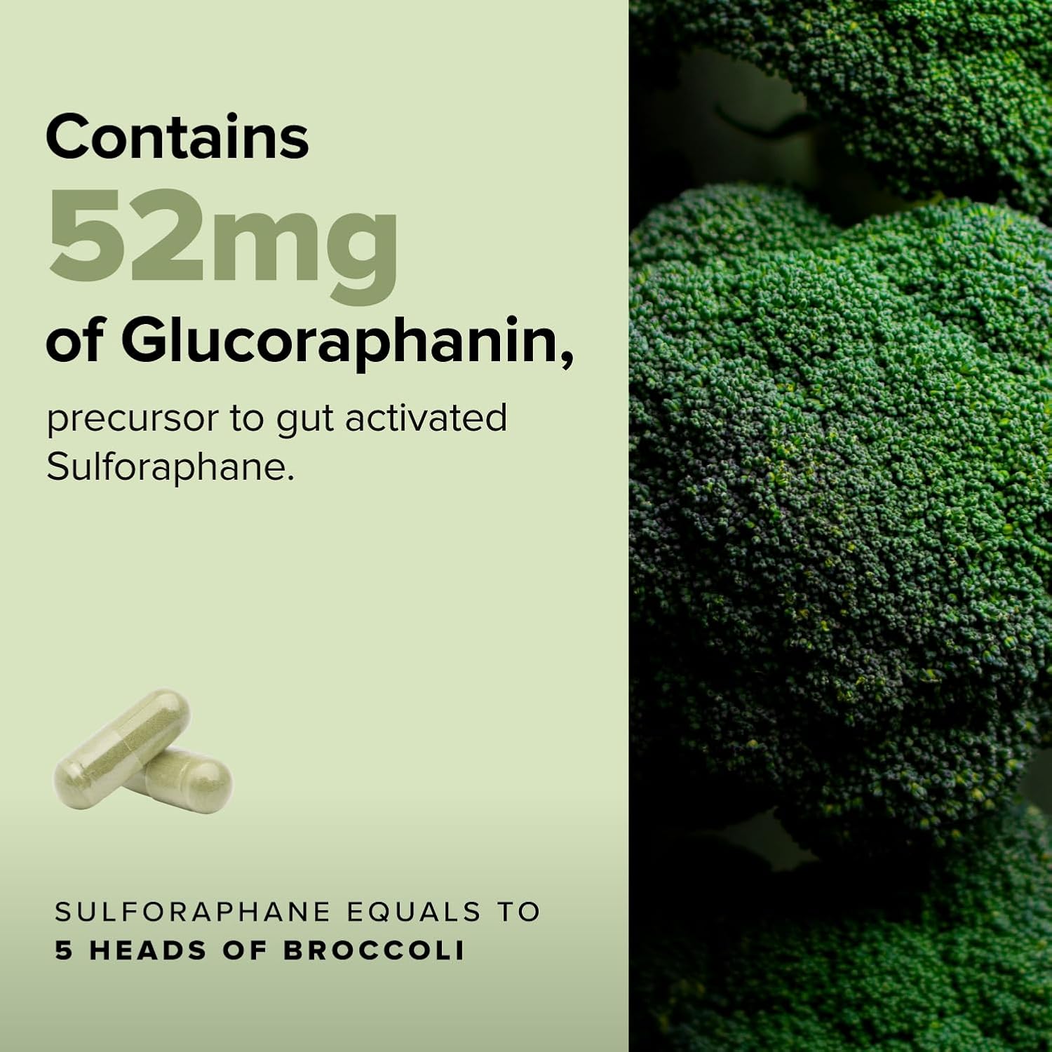 Complement Sulfora Sulforaphane Supplement with Myrosinase - 52mg Glucoraphanin from Broccoli Seeds, Kale & Quercetin - Antioxidant Detox & Immune Support - 60 Capsules, 30 Servings