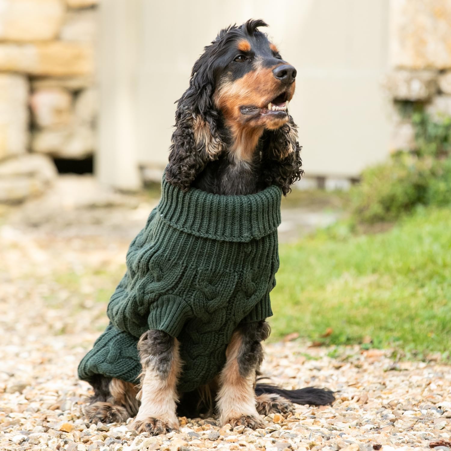 HUGO & HUDSON x Hackett Hundepullover mit Zopfmuster, Warmer Rollkragenpullover aus Strick, Grün, XL