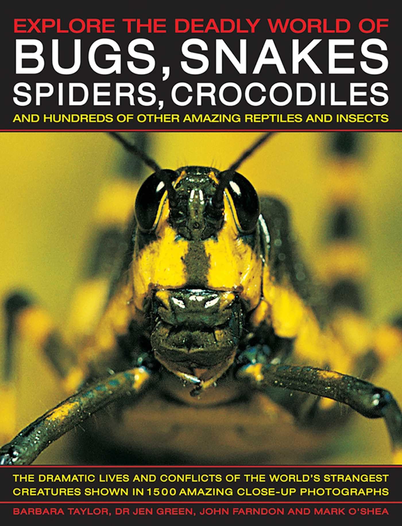 Explore the Deadly World of Bugs, Snakes, Spiders & Crocodiles: The Dramatic Lives And Conflicts Of The World'S Strangest Creatures Shown In 1500 Amazing Close-Up Photographs